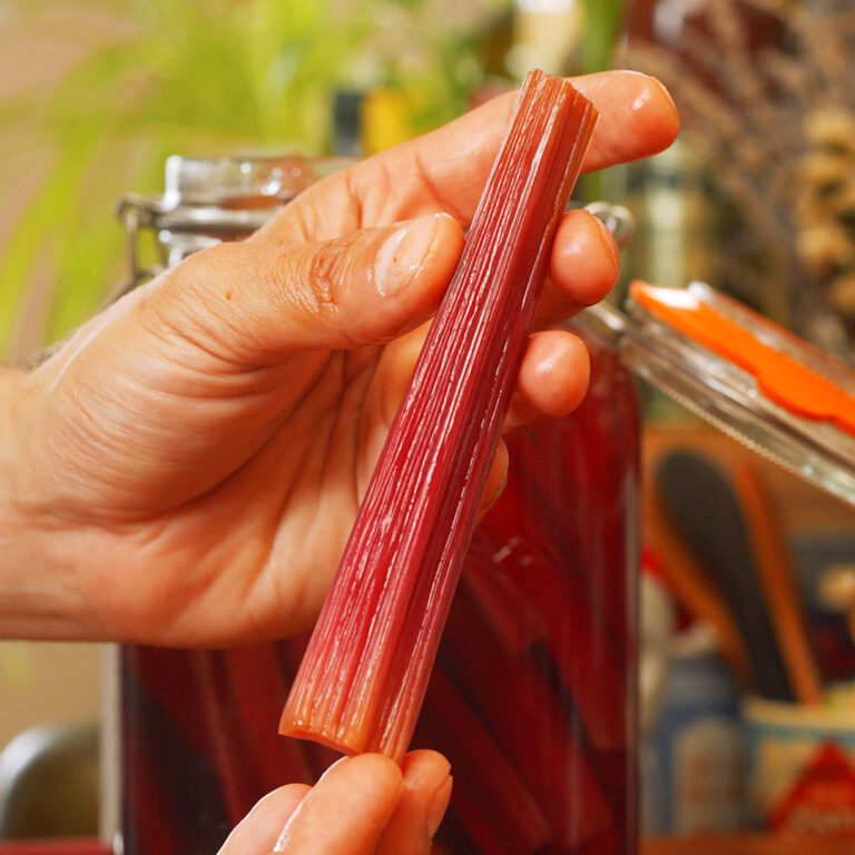a fermented chard stalk