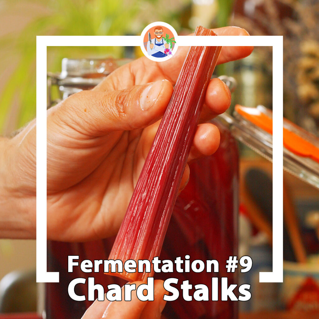 a fermented chard stalk