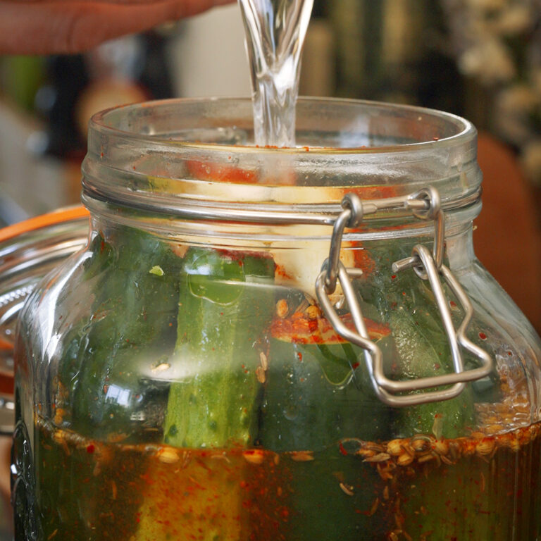 a jar of cucumbers being filled for fermentation