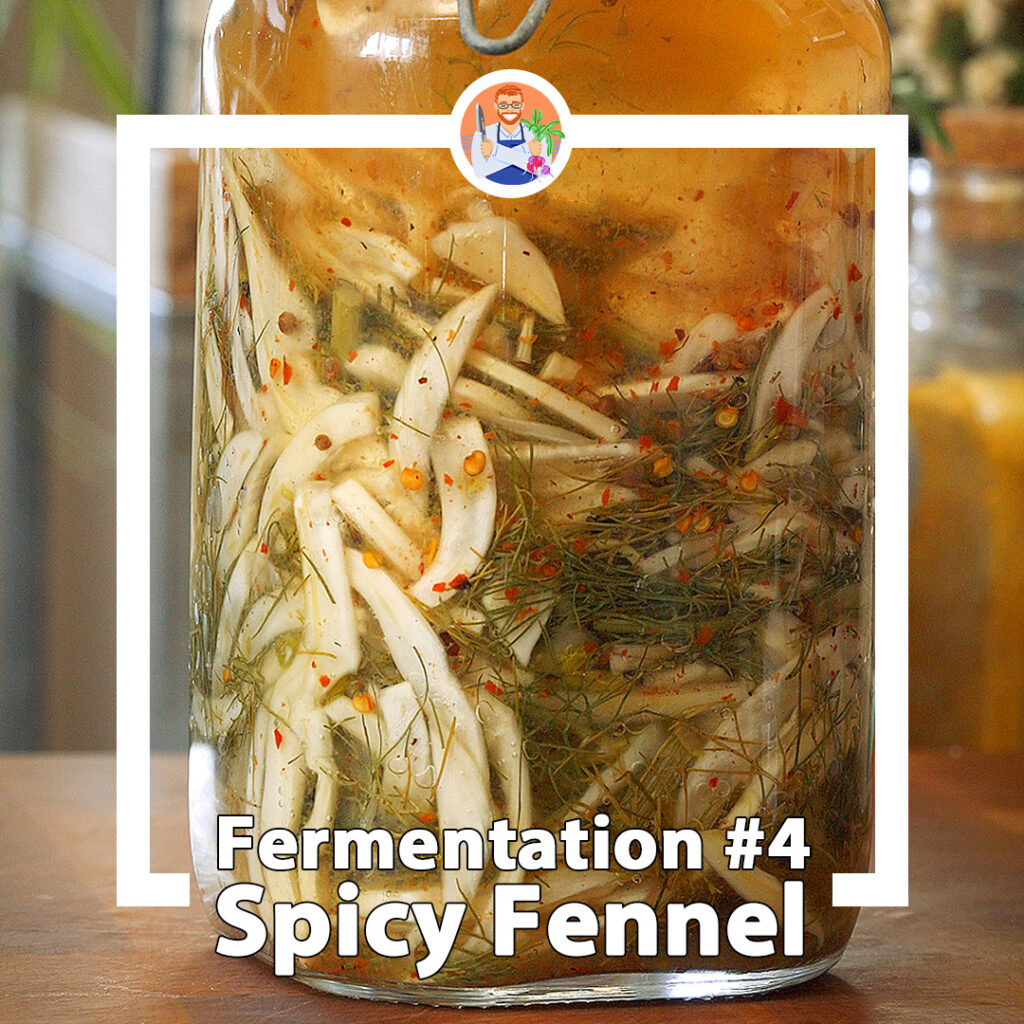 a bubbling jar full of fermented fennel and chili flakes