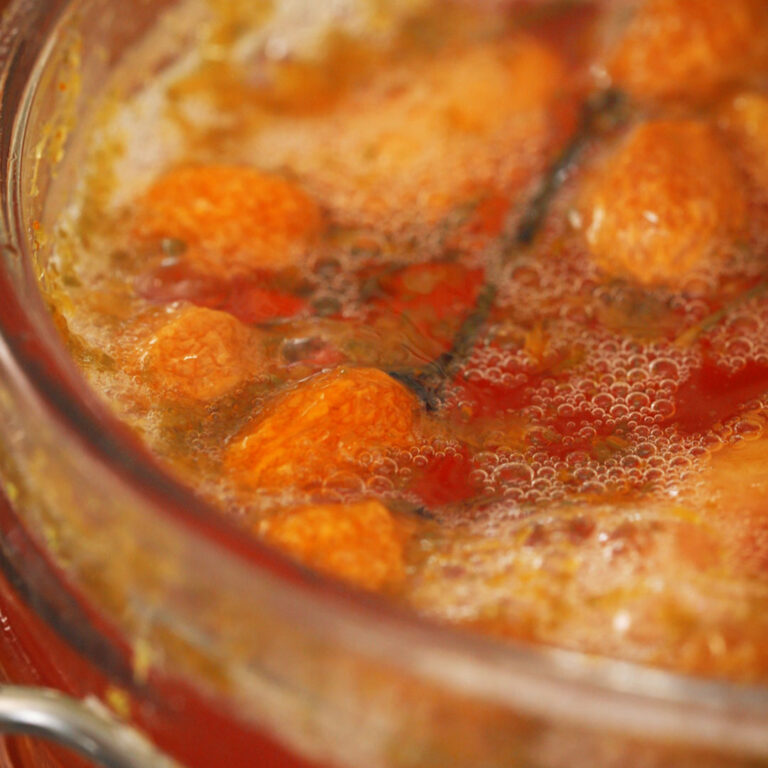 a bubbling jar of fermented radishes and peppers